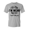 Adult t-shirt Heavy Cotton Thumbnail